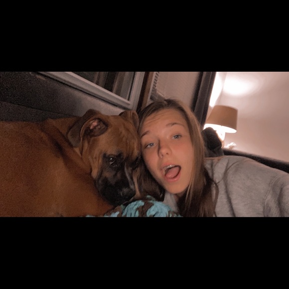 Meet your Posher, Addison - Picture 1 of 1